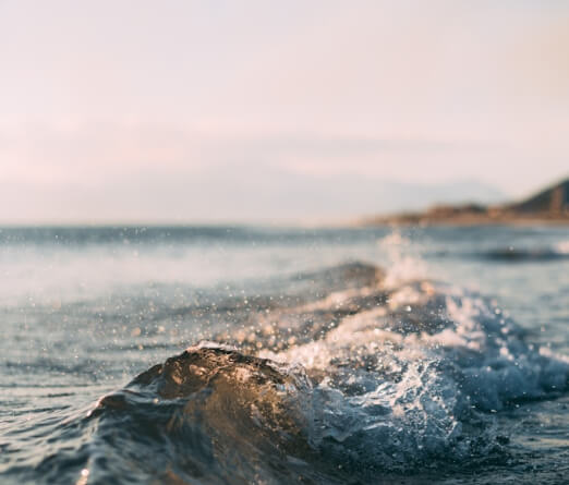 services-02 Services 02